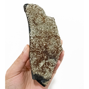 Shungite Stone with Pyrite 420 Grams