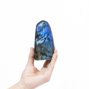 Extra Blue and Golden Polished Labradorite 537 grams