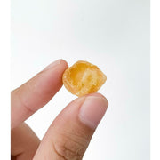 Polished Baltic Copal Amber Stone 4 grams