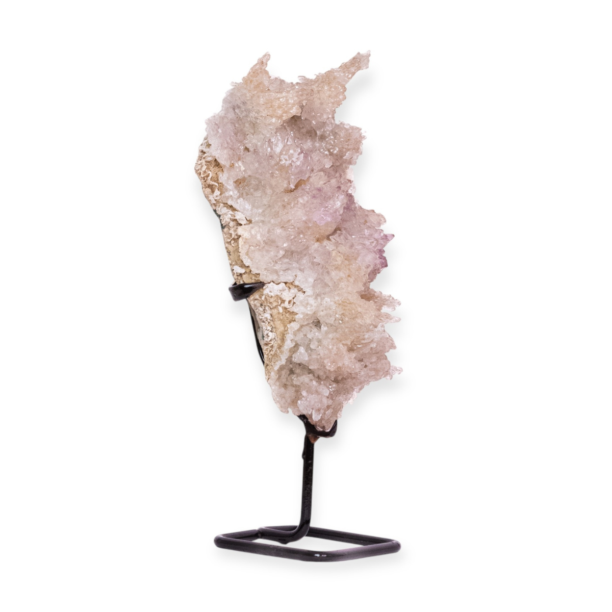 Amethyst Flower on Black Metal Base 1.6 kg