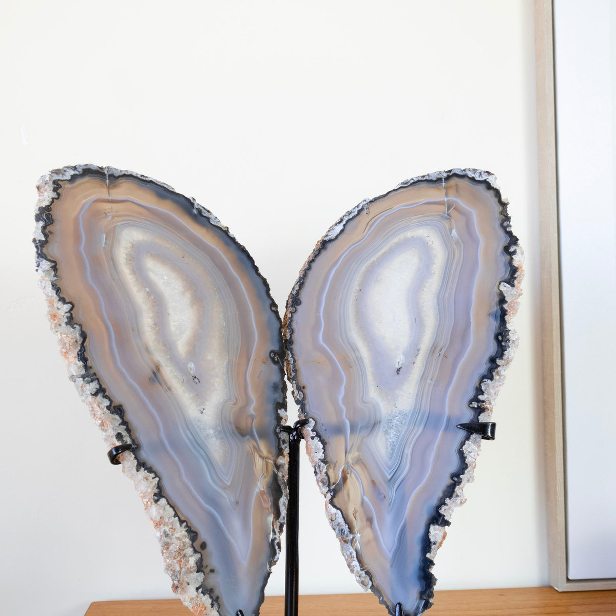 Gray Agate Slab Butterfly Natural Polished on Metal Base 2.450 kg