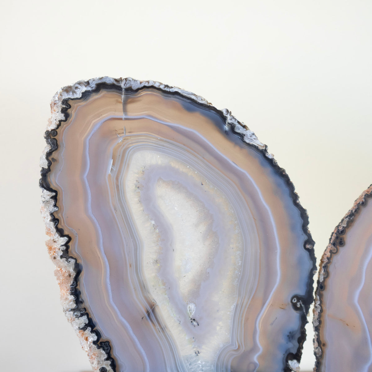 Gray Agate Slab Butterfly Natural Polished on Metal Base 2.450 kg