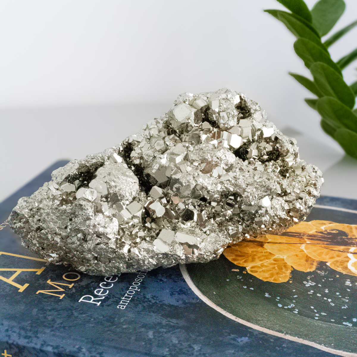 Spanish Cubic Pyrite 1.6 kg