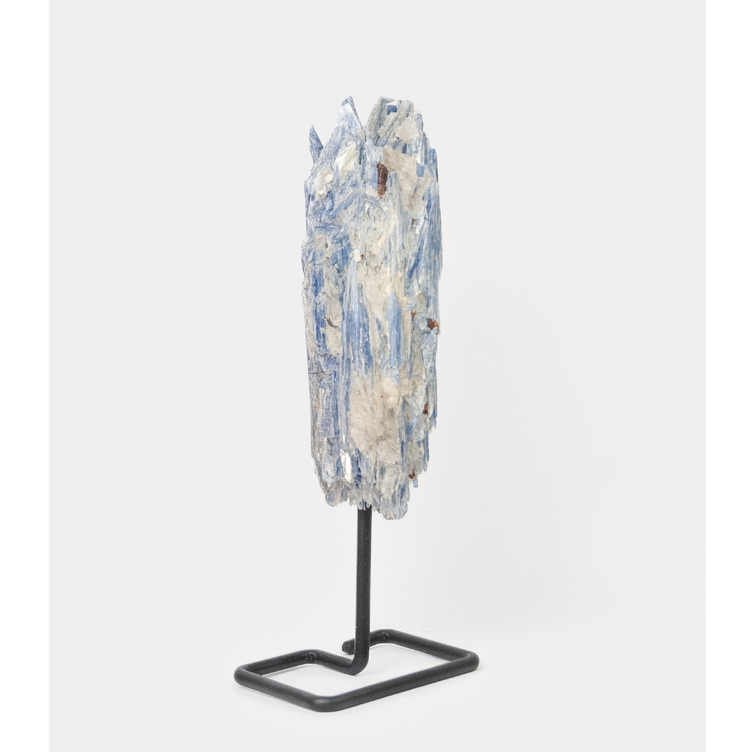 Cyanite Bleue sur Base Métal Noir Mat 449 Grammes
