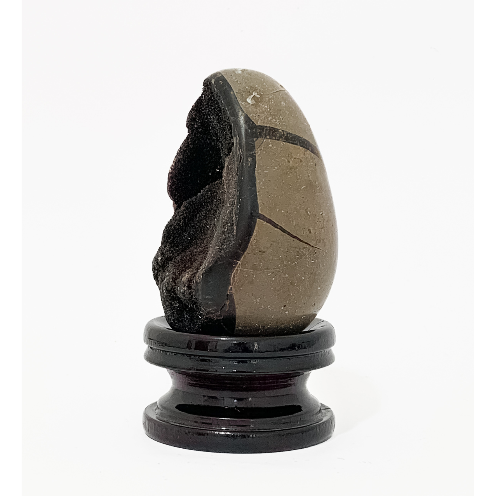 Dragon Egg Septarian (Septaria) on Wood Base (Collection) - (Rare)