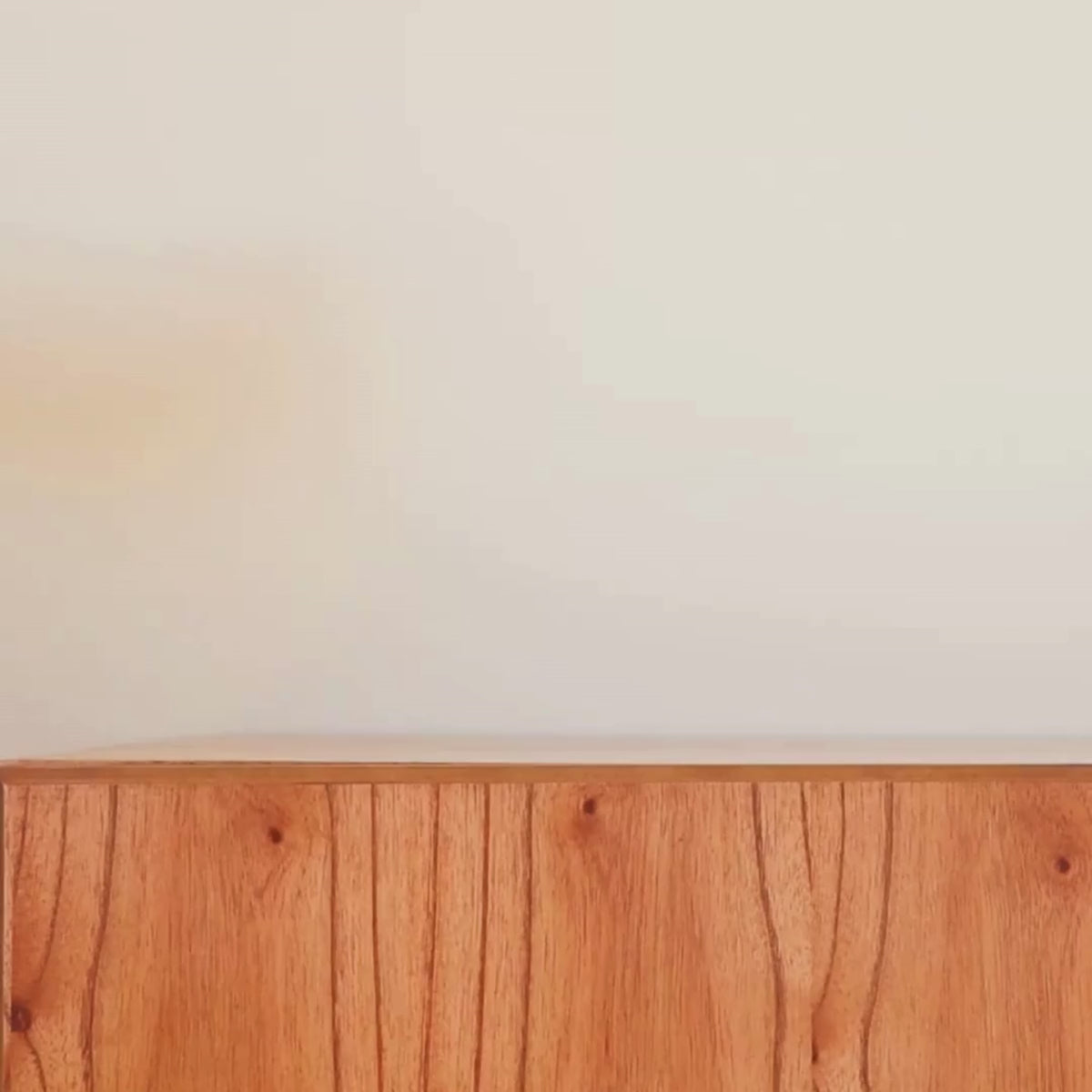 Load video: Bowl Onix Zebra Multicolorido Extra